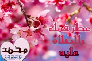 المولد النبوى الشريف 1435 (11)