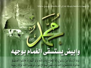 المولد النبوى الشريف 1435 (4)