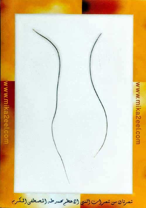 Hairs-of-Prophet-Muhammad
