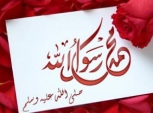 المولد النبوى الشريف 1435 (9)