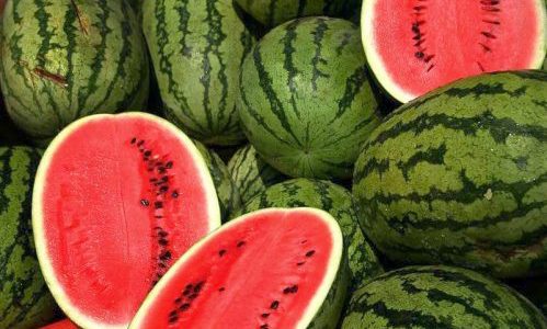 بطيخ الاحمر الناضج