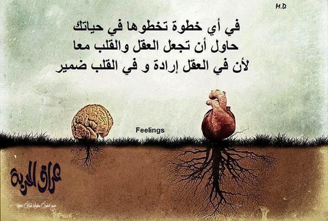 %d8%ad%d9%83%d9%85-%d9%85%d8%a4%d8%a6%d8%b1%d9%87-%d8%ac%d8%af%d8%a7-%d9%81%d9%8a-%d8%b5%d9%88%d8%b1-16