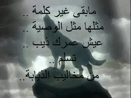 %d8%ad%d9%83%d9%85-%d9%85%d8%a4%d8%a6%d8%b1%d9%87-%d8%ac%d8%af%d8%a7-%d9%81%d9%8a-%d8%b5%d9%88%d8%b1-2