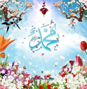 صور المولد النبوي (1)