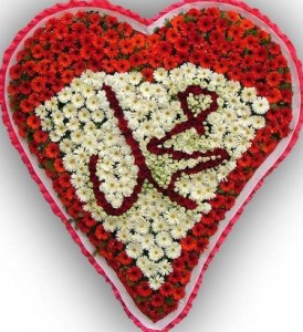 صور المولد النبوي (2)